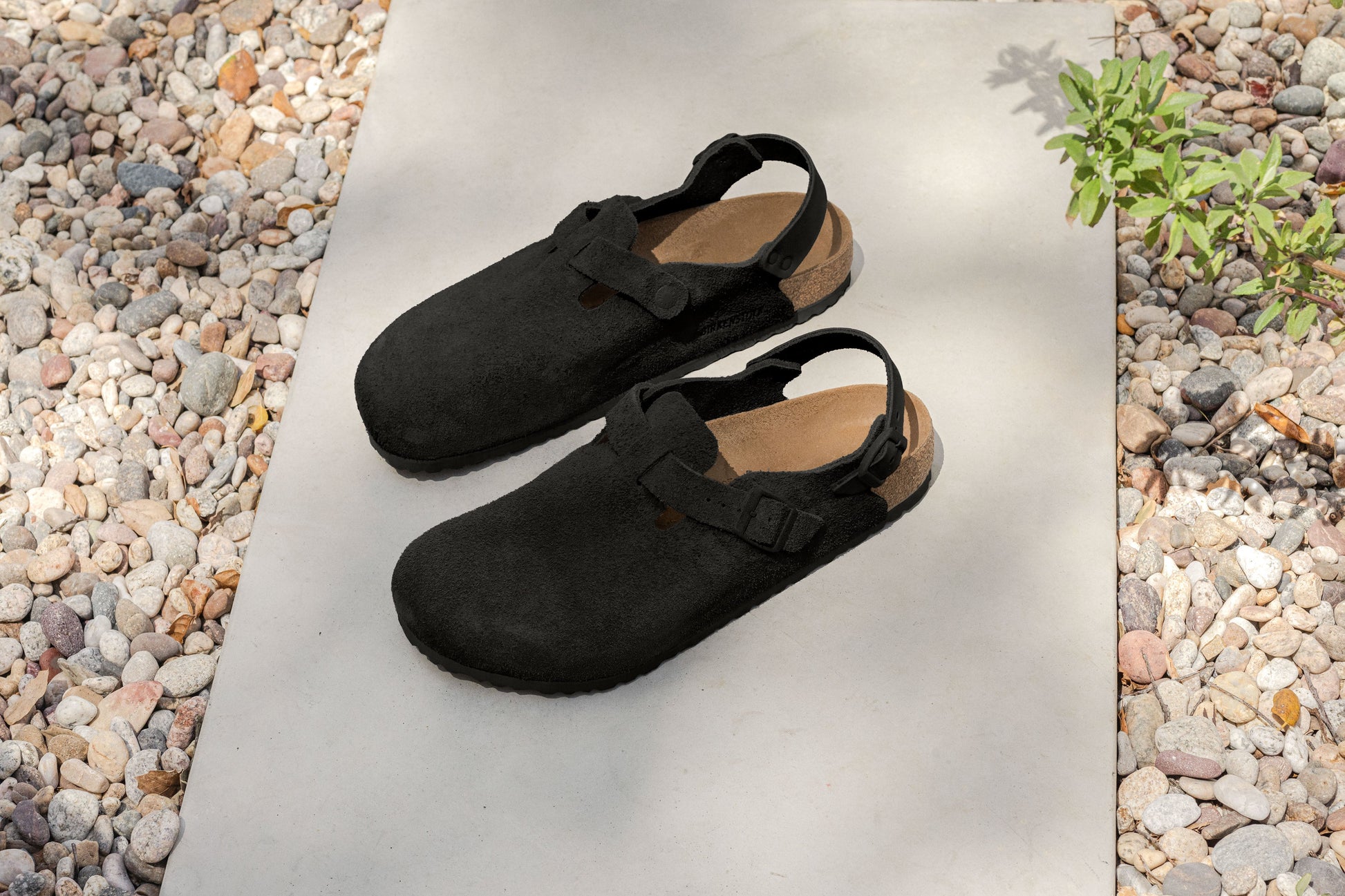 Birkenstock Tokio Black Suede Leather Regular - 1028337 | The Boot Shed