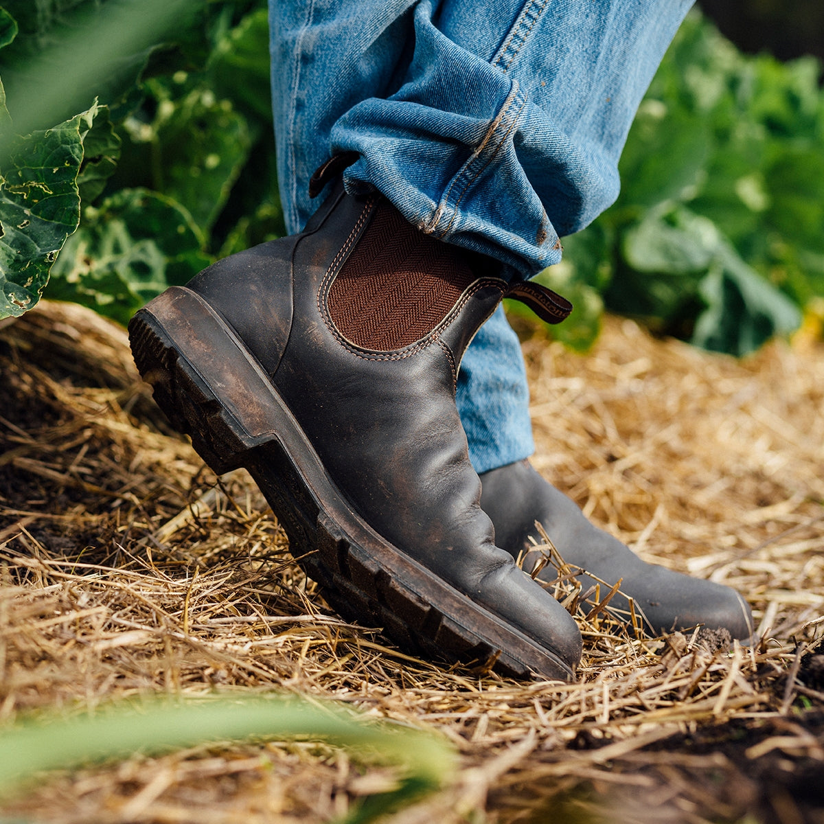 Blundstone Unisex  Elastic Side non-Safety Work Boot 600 | The Boot Shed